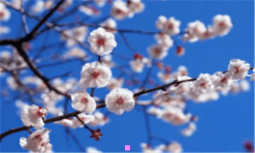三短篇新闻50字
