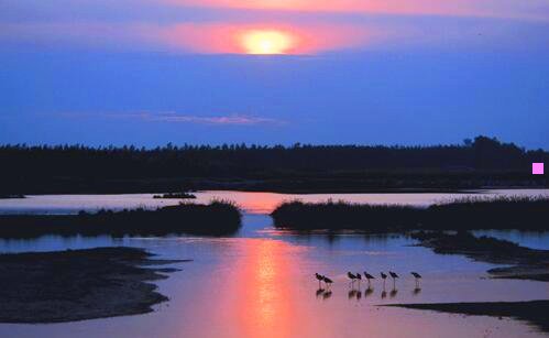 二森系干净短句