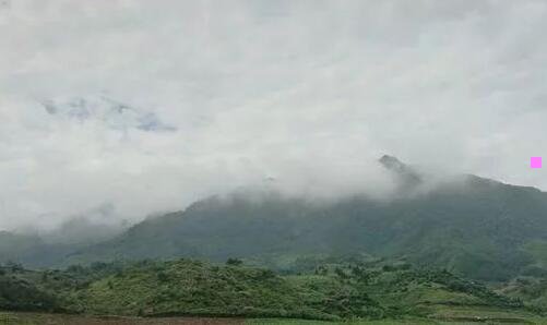 一手机游戏开发语言