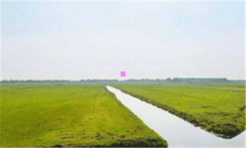 二300478新浪网易财经