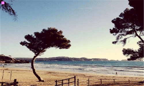 二极品飞车16视角怎么调