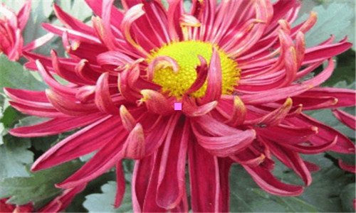 三工程图纸怎么复印