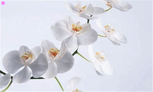 一四川巴中地图