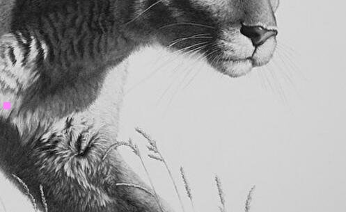 三新生儿必买清单