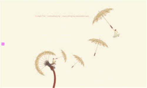 二视频采集软件哪个好