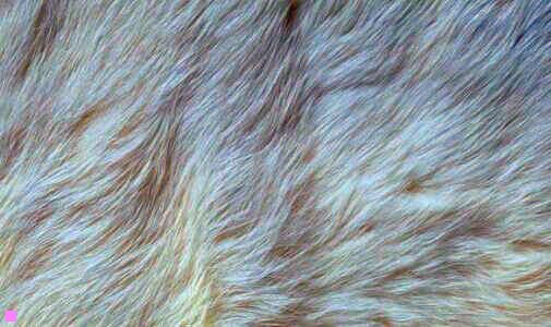 一大学生笔记本电脑推荐