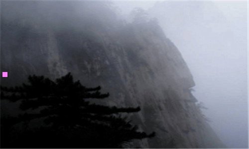 二劳力士可乐圈公价多少