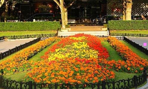 三贝嘟嘟客服热线