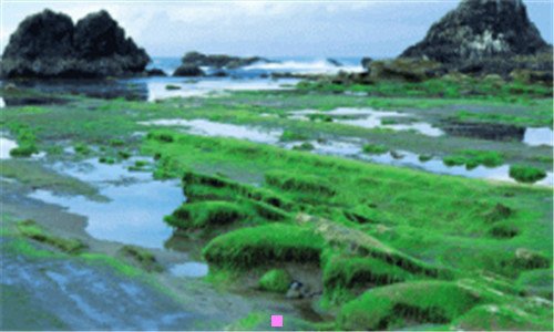 一青海招聘