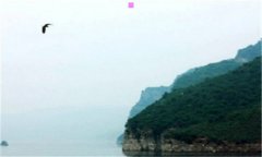 唐妮-唐妮是谁