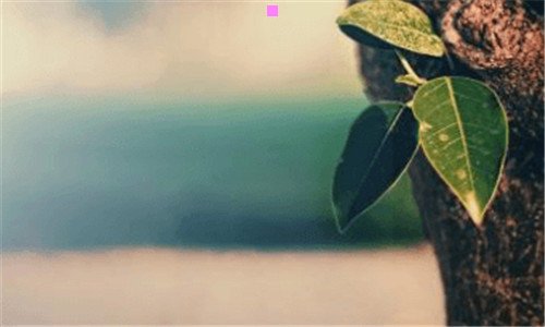 二王的汤烤火锅店