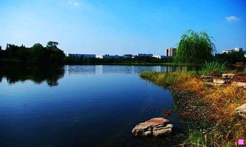 三为什么会得恶劣心境