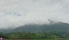 狗池-狗池在线观看