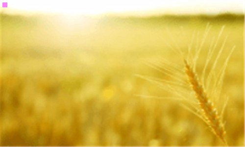 三龙塔门票多少钱