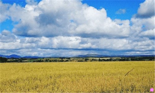 二日本邮政查询包裹中文