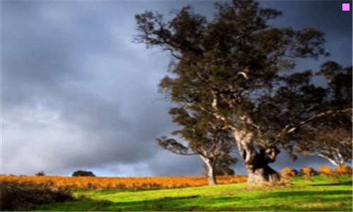 一紫蒙湖太阳岛在哪里