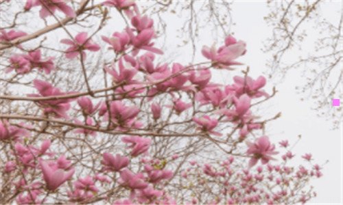 二雪佛兰汽车价格表