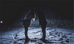 双子向日葵-双子向日葵怎么得到