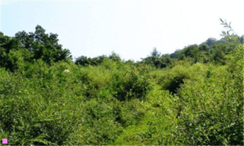 二广州急招波峰焊技术员