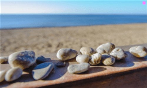 三苹果官网报价