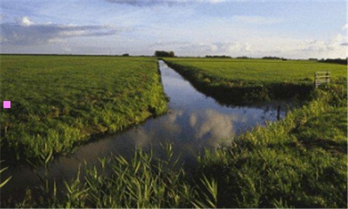 三美容面具骗局揭秘