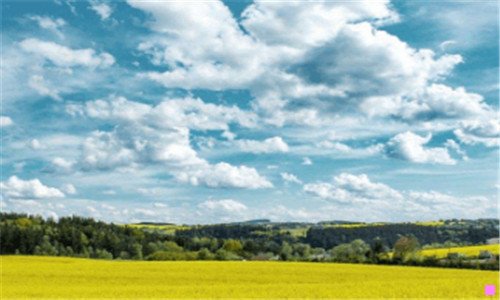 二稷山县西社镇各村地图