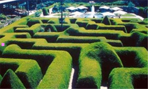 三惠来县最大的三大姓氏