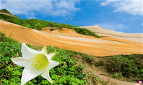 二高大上的拿手菜
