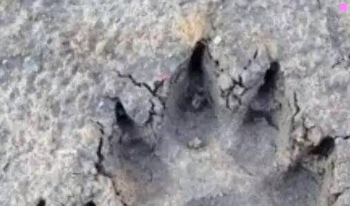 三全国免费旅游景点