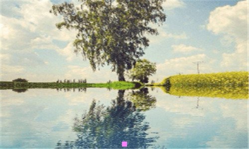 二新墨西哥州治安好吗