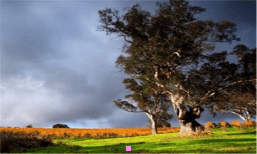 三最新大连市区划分地图