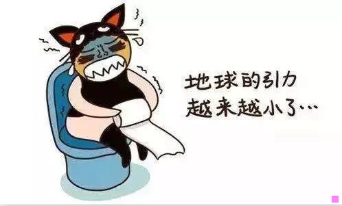 一晓雯