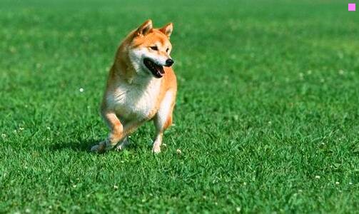 三黟县南屏住宿