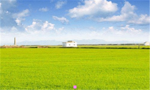 三摘星寄良人免费阅读