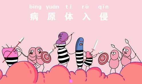 一全白图