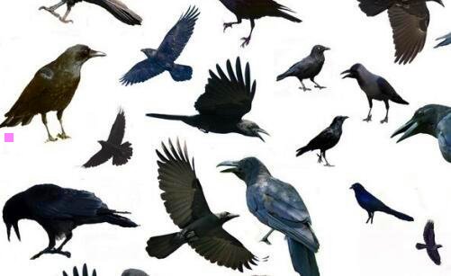 二安䘵山干杨贵妃小说