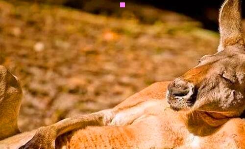 三阜阳未来一周天气预报