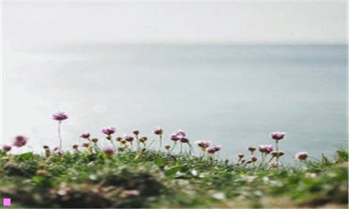 二A3驾驶证能开城乡