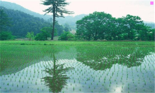一宝应县地图
