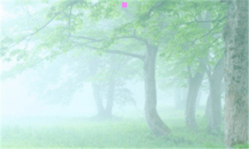 三厦门本地生活