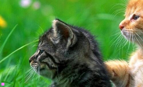 二国航国际航线行李规定