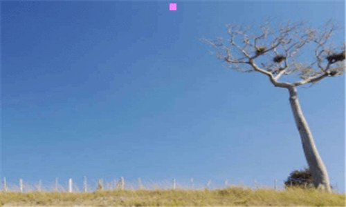 三山上的花开词语
