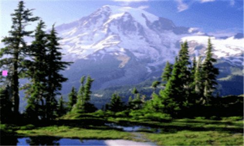 二山东都捐了什么