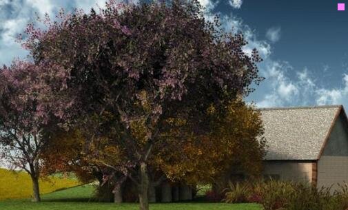 二厦门为什么禁槟榔