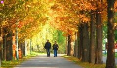 春节晚会节目单-2020年春节晚会节目的顺序