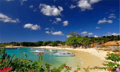 二中国驻俄罗斯紧急电话