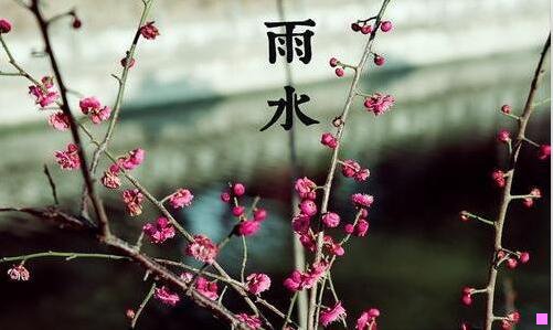 二越简单的人越可怕