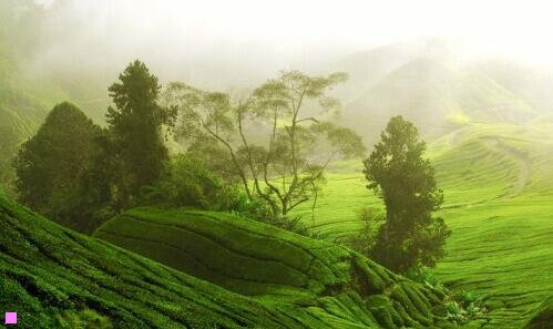 二鼓励别人加油的暖心话