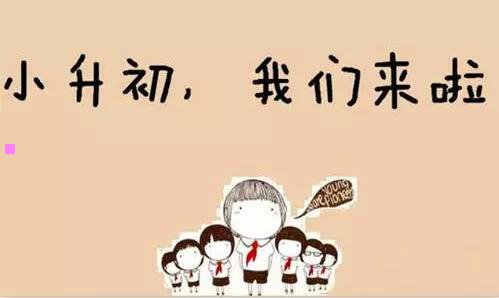 二厦门大学每年招收河南多少人
