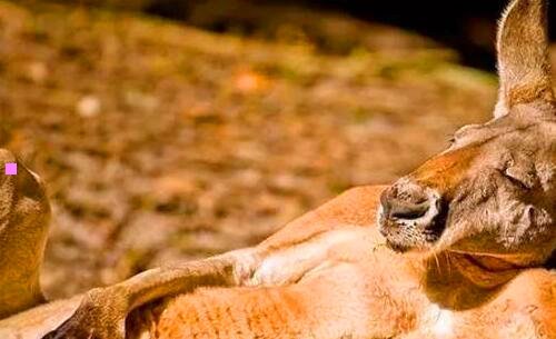 三太平湖自驾游攻略